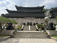 2026,7.28.삼척 종합 박..