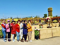 국화축제