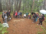 794차 두개비산