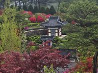 792차척야산문화수목원