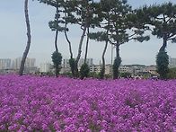 이기는 신심이다.