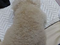 산책 후 잠들었어요.