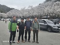 4/12(토)진안 마이산(광수..