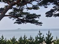 (20250525)대청도&#12