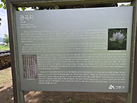 시흥연꽃