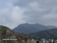 ★문배마를/구..