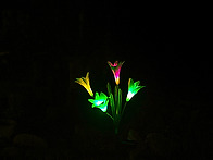 우리 큰 애가 귀국..