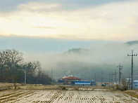 새벽 동구밗 아침..