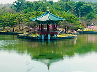 반영