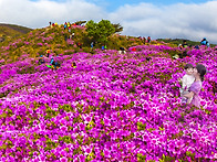 올해는 꼬옥 다시..