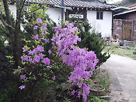 탁오헌