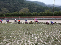 경남간호고등학교 운동장 ..