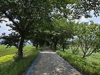지리산둘레길(오미~난동)..