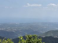 울진 응봉산(2026. 7. ..