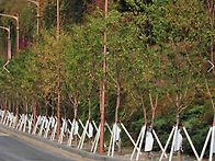 병원으로 가는길