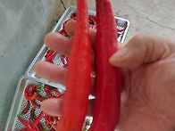 시가 길어지지 않아야 할 ..