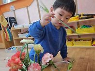 [어버이날] 카네이션 꽃바..