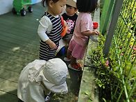 5월2주 🌼실외놀이🌼