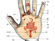 손과발로 내건강 알아보기