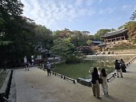 제61회:서울에서모습(창덕..