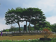 세미원 여행.