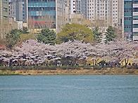 잠실석촌호수 탐방.