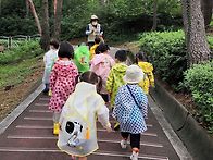 숲체험 🌿(자..