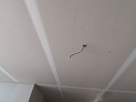 도배 공사입니다