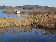 설경을 기다린 어느호수가