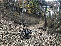 뒷동산 순찰