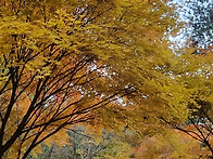 보고싶은사람들 산..