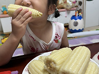 🌽옥수수🌽