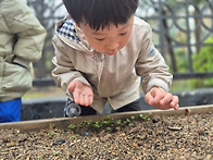 씨앗아, 우리 사랑..