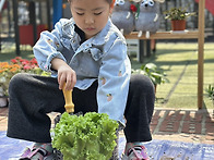 언어~전!달! 상추..