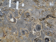 대리석 Jose Jaguar G..