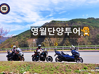 영월단양투어 [2026.4...