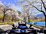 영월단양투어 - C650GT..