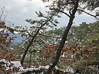 설 다음날 산행중