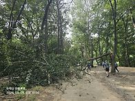 2026.8.9 수락산..