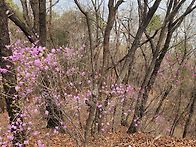 3월31일.화.3월의 마지막날..