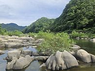 20260808 역사문화대장정 ..