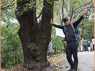 10월 정기산행 .. 계룡산