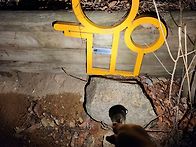 2026.03.31(화)웍적산