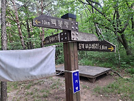 대간11_(백봉령-이기령)