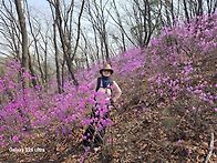 만월산//로즈마리 대장님