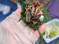 만월산에하루~