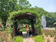 5월 26일 계양산 주간산행