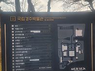 2026.1.10.토요일.역사 ..