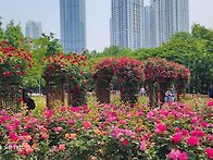 5월29일.목요일.만월산대체..