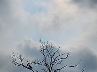 2026,2,5 만월산 (목) ..